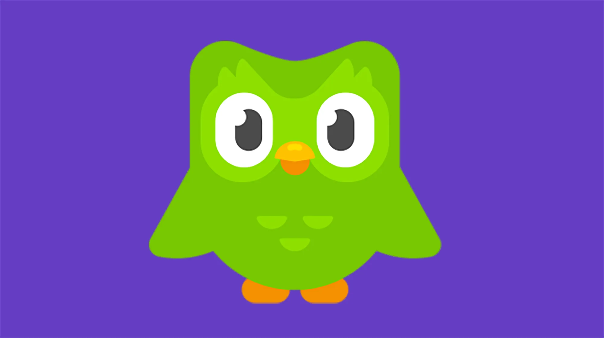 Duolingo characters illustration including Duo the owl