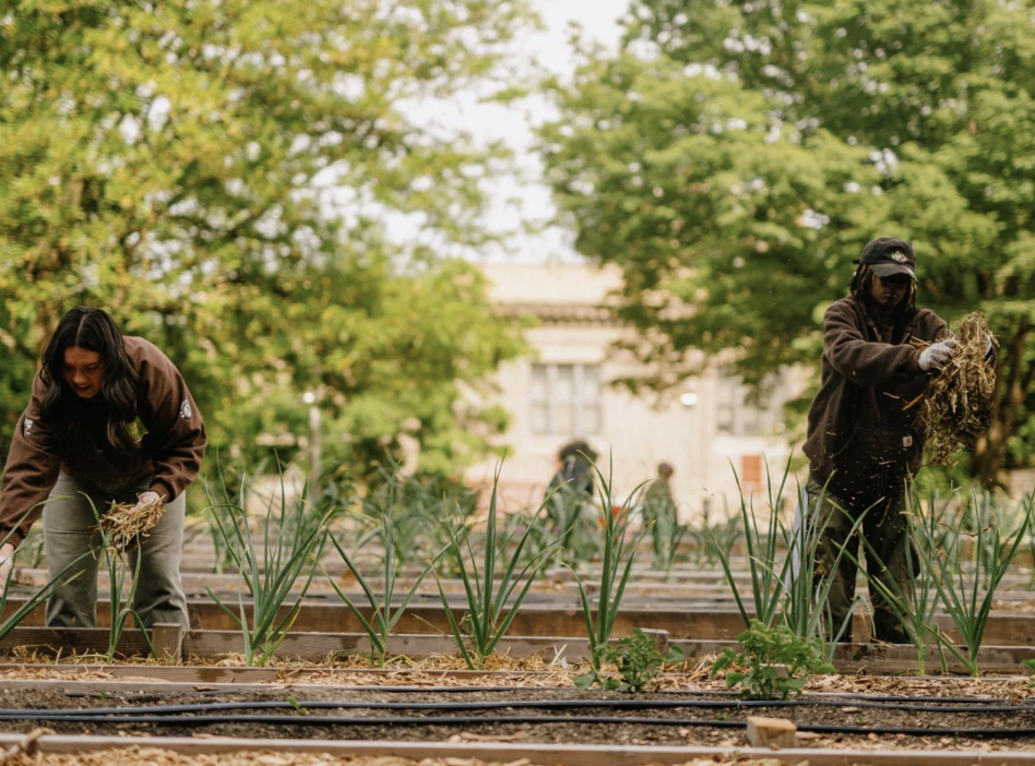 Green City Force members tending to a garden bed